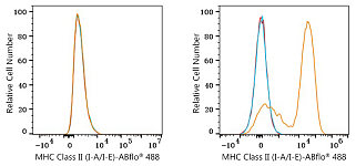 Flow CytoMetry - ABflo® 488 Rat anti-Mouse MHC Class II (I-A/I-E) mAb (A25481)