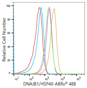 ABflo® 488 Rabbit anti-Human DNAJB1/HSP40 mAb