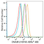 Flow CytoMetry - ABflo® 488 Rabbit anti-Human DNAJB1/HSP40 mAb (A25527)