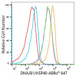 Flow CytoMetry - ABflo® 647 Rabbit anti-Human DNAJB1/HSP40 mAb (A25528)