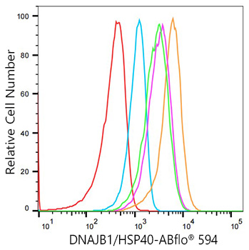ABflo® 594 Rabbit anti-Human DNAJB1/HSP40 mAb