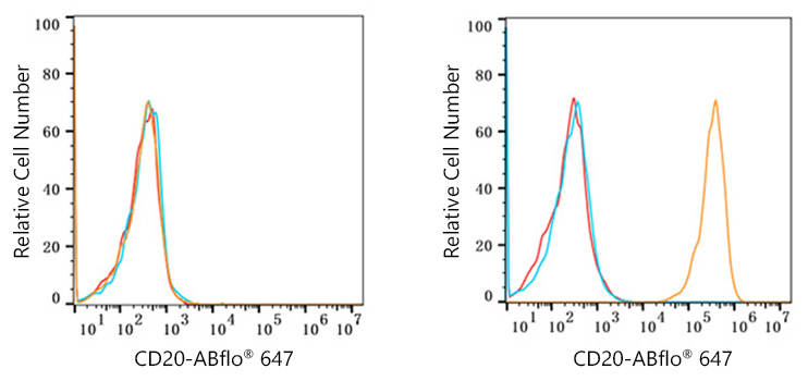 CD20 Rabbit mAb