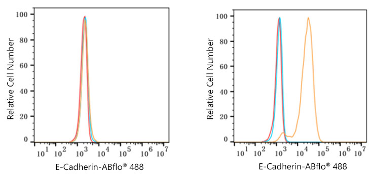 ABclonal:Flow CytoMetry - ABflo® 488-conjugated Goat Anti-Rabbit IgG (H+L) (AS053)}