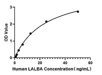  - Human Alpha-Lactalbumin ELISA Kit (LALBA) (RK00858)