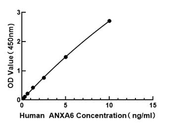 Human Annexin A6 ELISA Kit (ANXA6)
