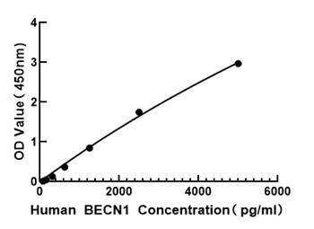 Human Beclin 1 ELISA Kit (BECN1) 