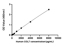  - Human Collagen Type VII (COL7) ELISA Kit (RK01162)
