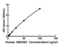  - Human Deoxyribonuclease I ELISA Kit (DNASE1) (RK01274)