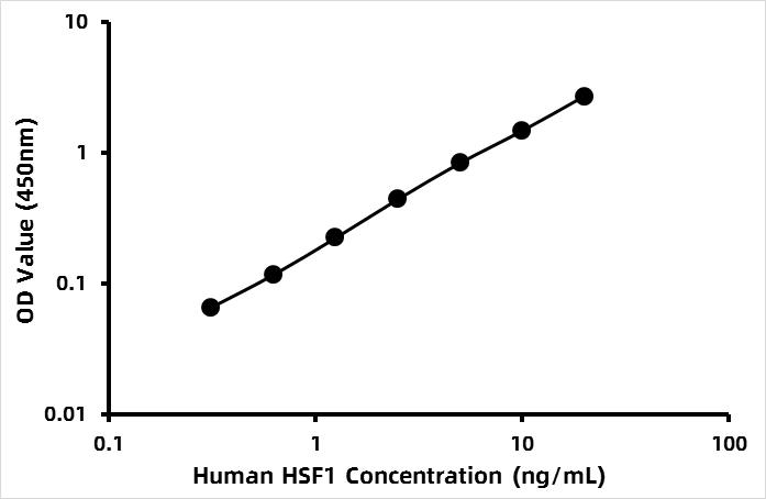 Human Heat Shock Factor 1 (HSF1) ELISA Kit