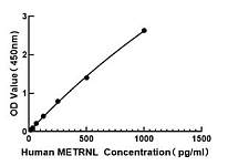  - Human Meteorin Like Protein ELISA Kit (METRNL) (RK01837)