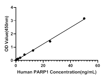 Human Poly ADP Ribose Polymerase (PARP1) ELISA Kit