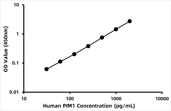 Human Proto-oncogene serine/threonine-protein kinase pim-1 (PIM1) ELISA Kit