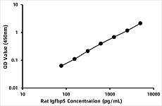 - Rat Insulin-like growth factor binding protein 5 (IGFBP-5) ELISA Kit (RK03742)