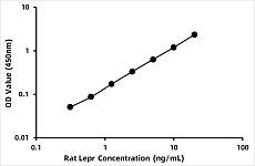  - Rat Leptin Soluble Receptor (sLR) ELISA Kit (RK03791)