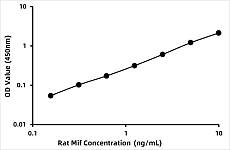  - Rat Macrophage Migration Inhibitory Factor (MIF) ELISA Kit (RK03813)