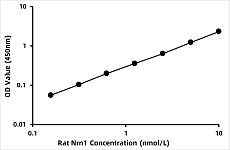 - Rat Neuritin (NRN1) ELISA Kit (RK03849)