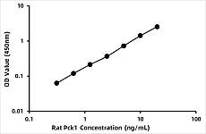  - Rat Phosphoenolpyruvate carboxykinase (PCK) ELISA Kit (RK03870)