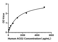 - Human Angiotensin I Converting Enzyme 2 ELISA Kit (ACE2) (RK04181)