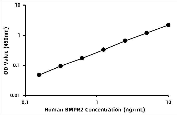 Human Bone morphogenetic protein receptor 2 (BMPR2) ELISA Kit