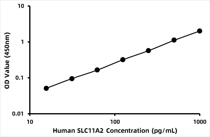 Human Natural resistance-associated macrophage protein 2 (SLC11A2) ELISA Kit