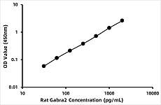  - Rat Gamma-aminobutyric acid receptor subunit alpha-2 (GABRA2) ELISA Kit (RK06845)