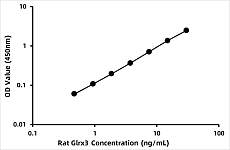  - Rat Glutaredoxin-3 (GLRX3) ELISA Kit (RK06905)