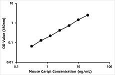  - Mouse CART prepropeptide (CARTPT) ELISA Kit (RK06994)