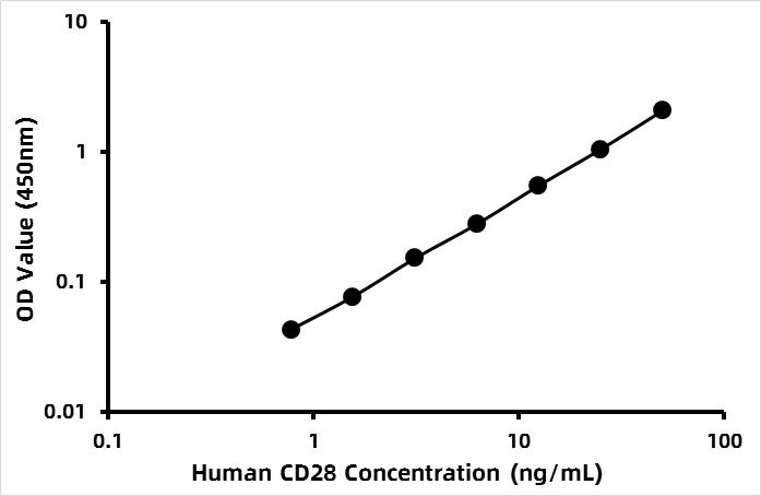 Human Soluble cluster of differentiation 28 (sCD28) ELISA Kit