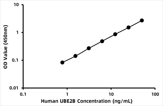 Human Ubiquitin-conjugating enzyme E2 B (UBE2B) ELISA Kit