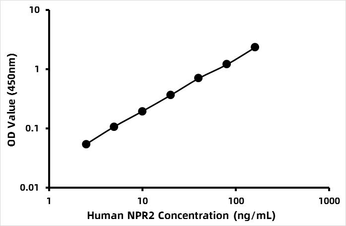Human Atrial natriuretic peptide receptor 2 (NPR2) ELISA Kit