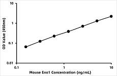  - Mouse Alpha-enolase (ENO1) ELISA Kit (RK08153)