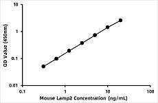  - Mouse Lysosome-associated membrane glycoprotein 2 (LAMP2) ELISA Kit (RK08170)