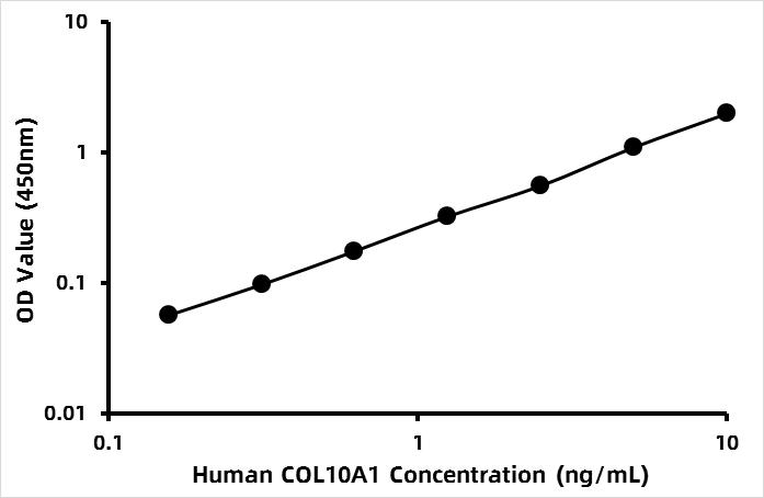 Human Collagen alpha-1 (X) chain (COL10A1) ELISA Kit
