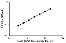  - Mouse Collagen alpha-1 (VII) chain (COL7A1) ELISA Kit (RK08179)