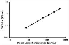  - Mouse Laminin subunit beta-3 (LAMB3) ELISA Kit (RK08184)