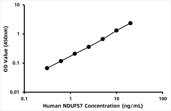 Human NADH dehydrogenase [ubiquinone] iron-sulfur protein 7, mitochondrial (NDUFS7) ELISA Kit