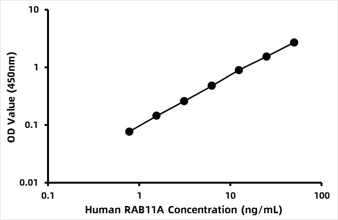 Human Ras-related protein Rab-11A (RAB11A) ELISA Kit