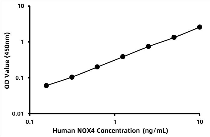 Human NADPH oxidase 4 (NOX4) ELISA Kit
