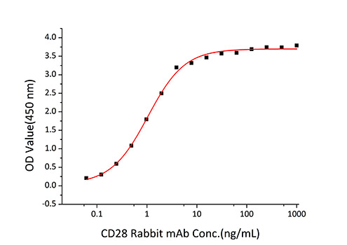 Recombinant Human CD28 Protein