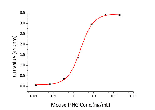 Recombinant Mouse IFN-gamma Protein