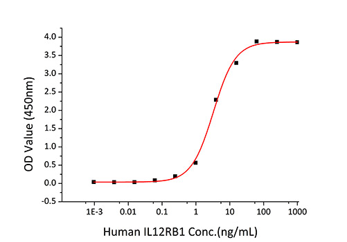 Recombinant Mouse IL-12/IL-12A&IL-12B Protein